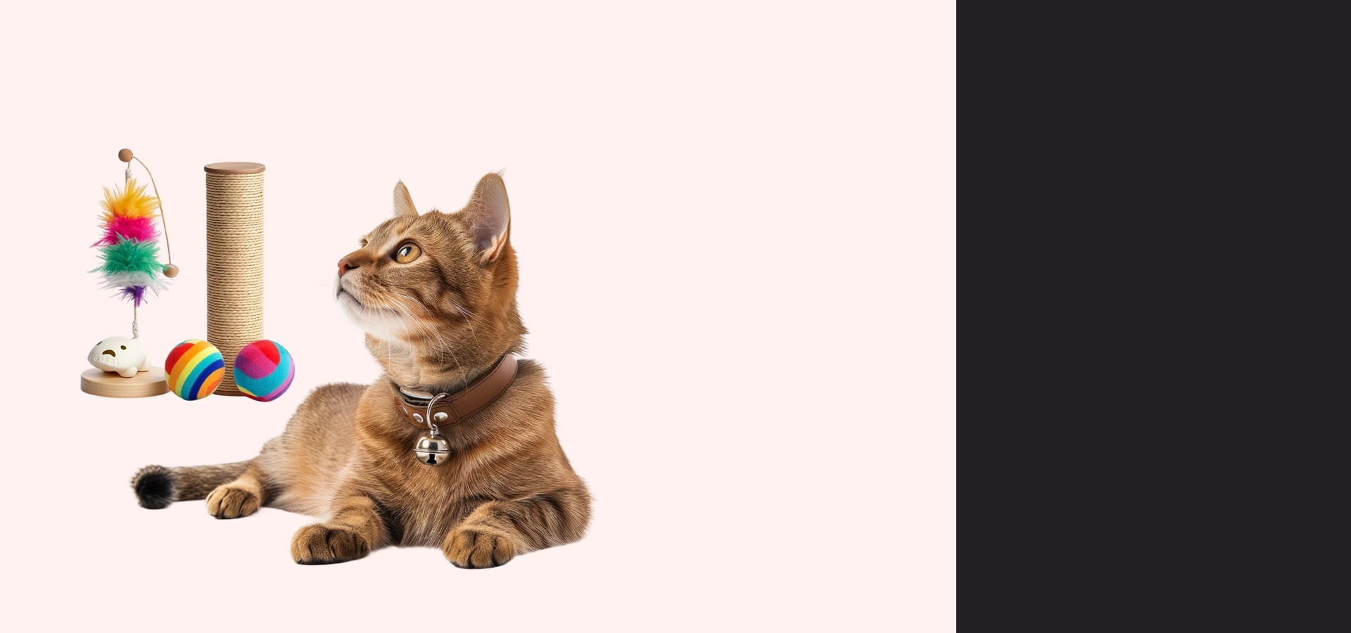 Embracing a lifetime of compassion