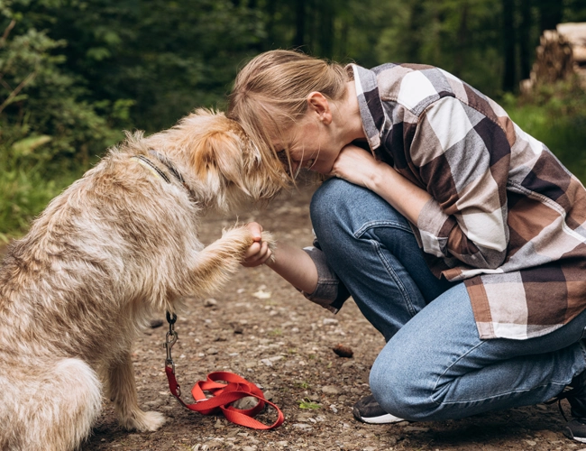 Mastering behavioral development techniques